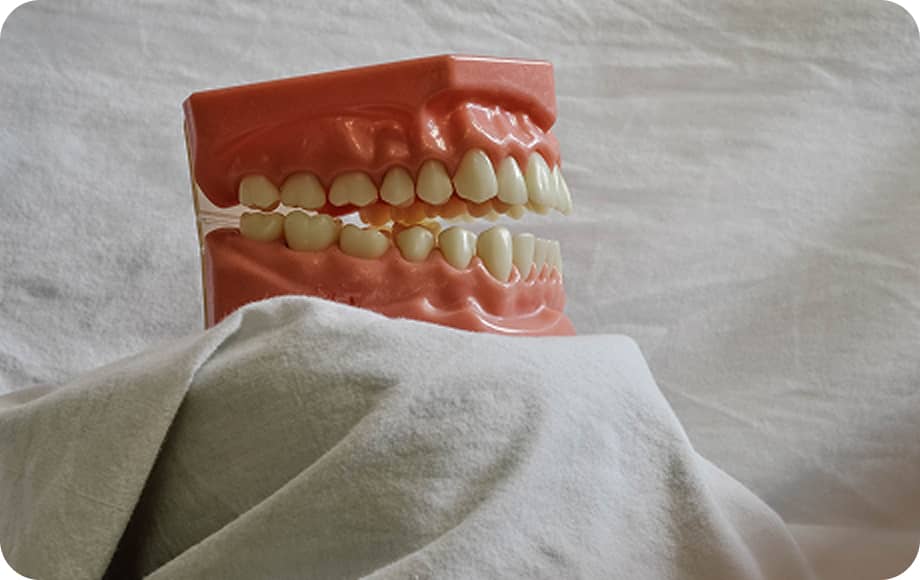 歯茎と歯が合わさった全体の写真